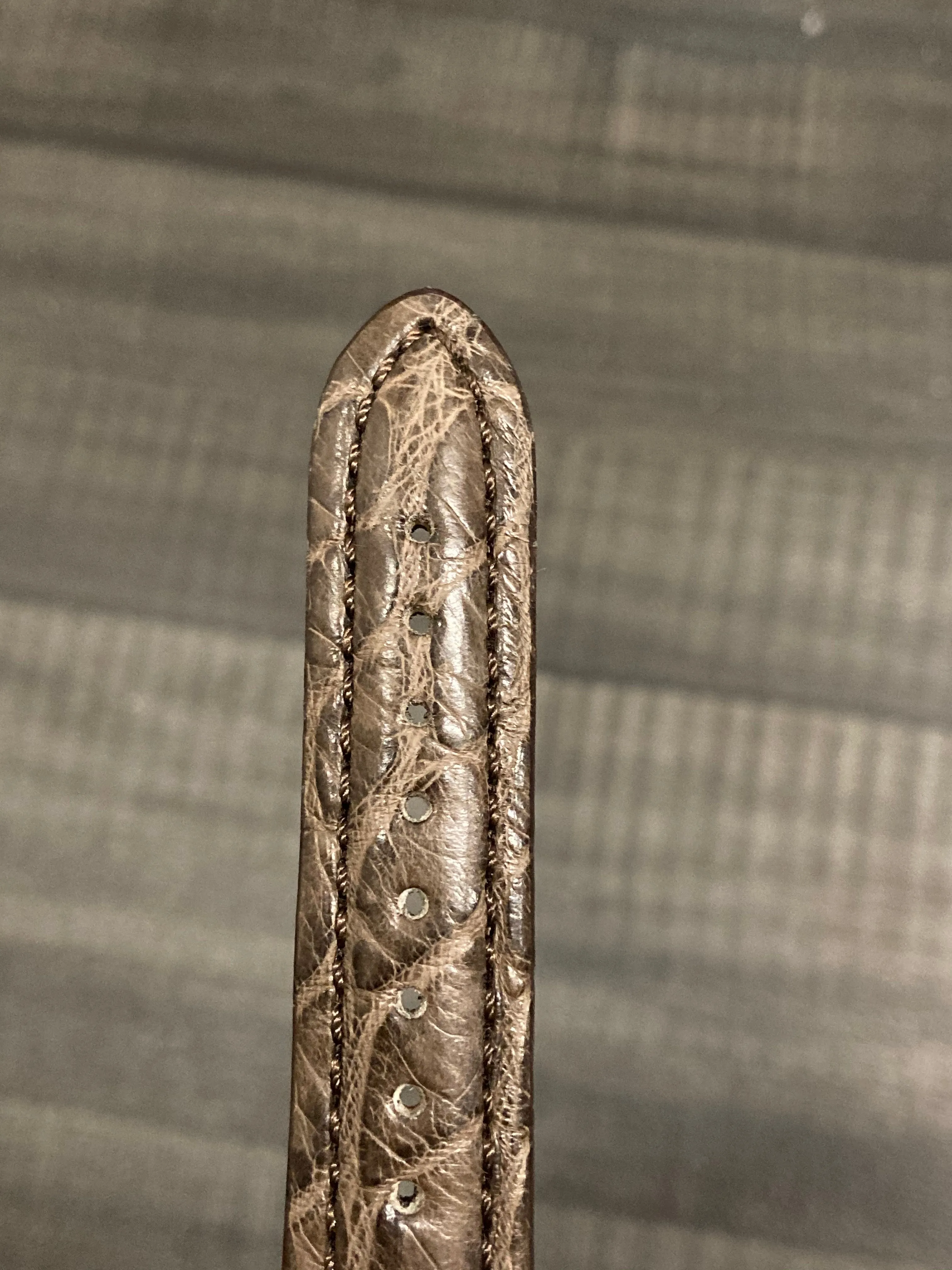 Brown Crocodile Padded Watch Strap - $750 APR VALUE w/ CoA! ✓