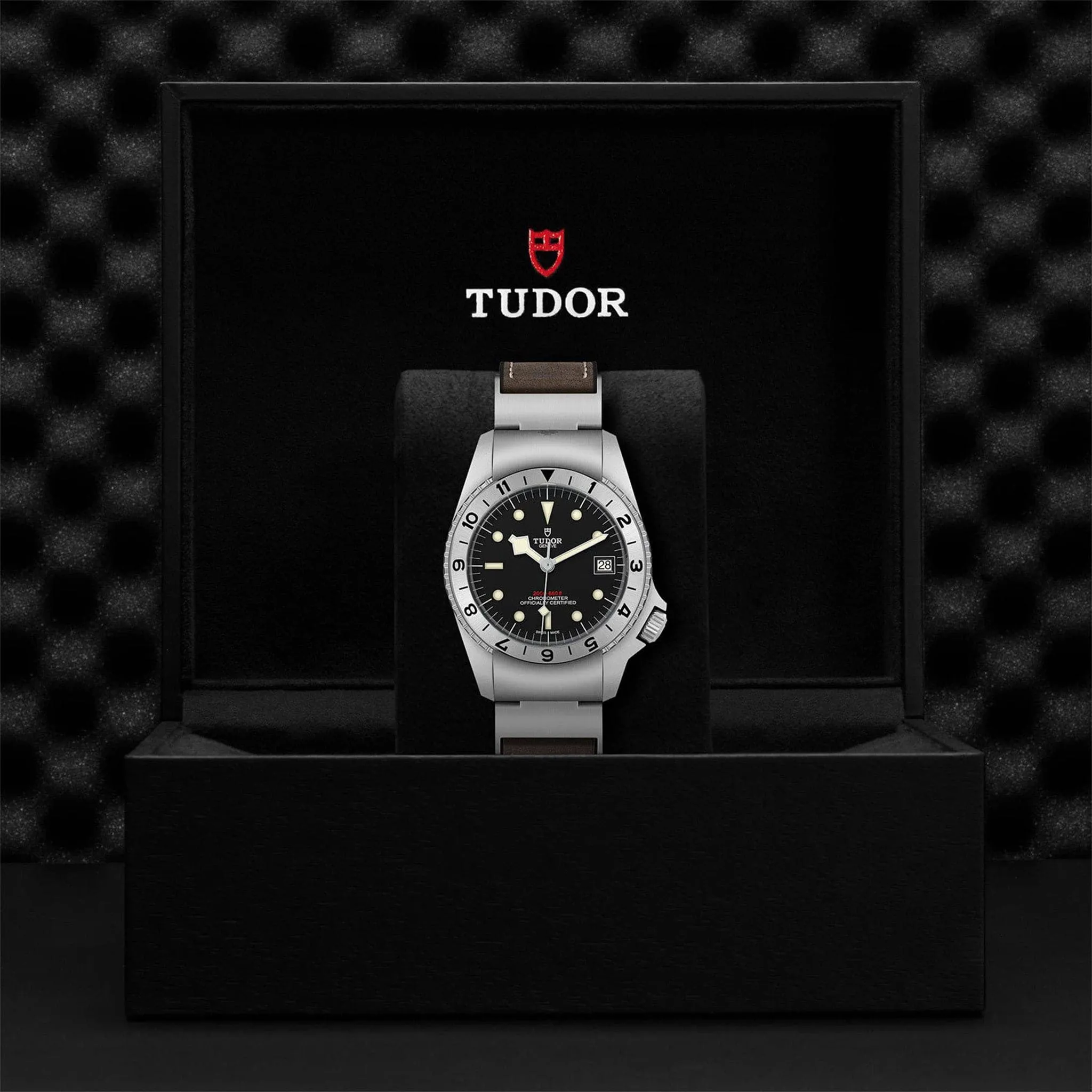 TUDOR Black Bay P01 - M70150-0001